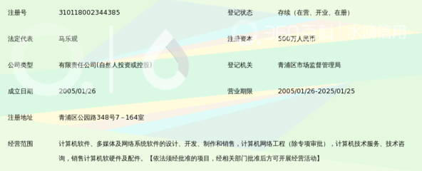 上海金指软件技术 扎根上海软件产业生态的专业软件服务商