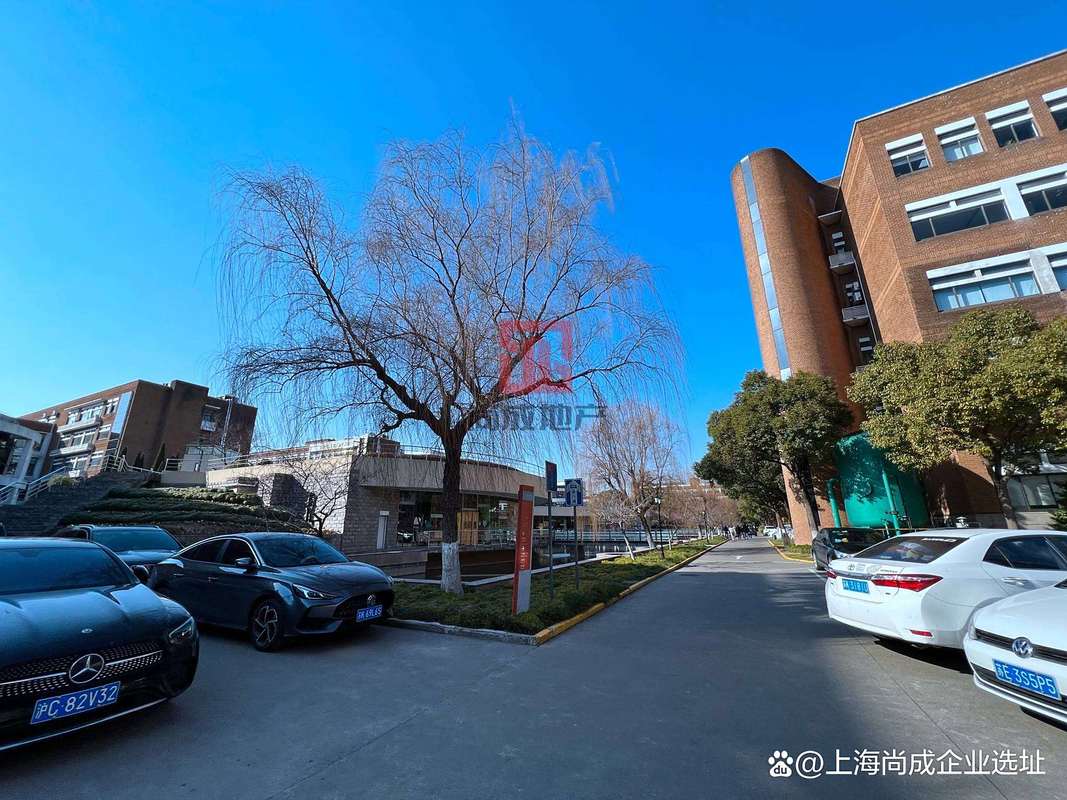 上海浦东软件园 锚定科技发展，引领软件产业前行